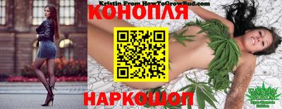 гидра Краснознаменск