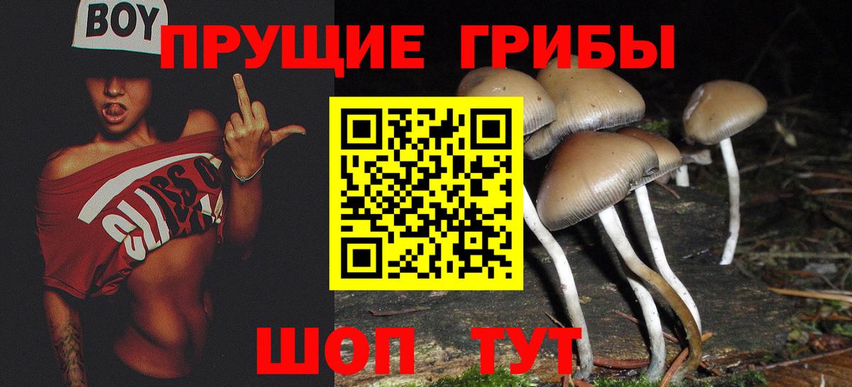 Коммунар  Псилоцибиновые грибы Magic Shrooms  Псилоцибиновые грибы Psilocybine cubensis  Вход с VPN 